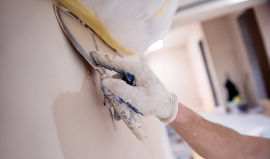 Pro Master Painting