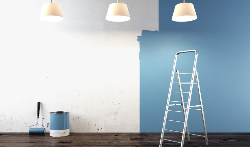 Pro Master Painting